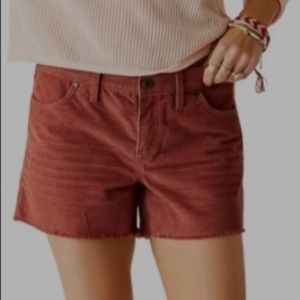 NWT Carve Designs Oahu Shorts 4"